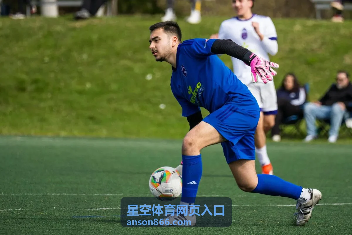 星空体育完整版内容预览