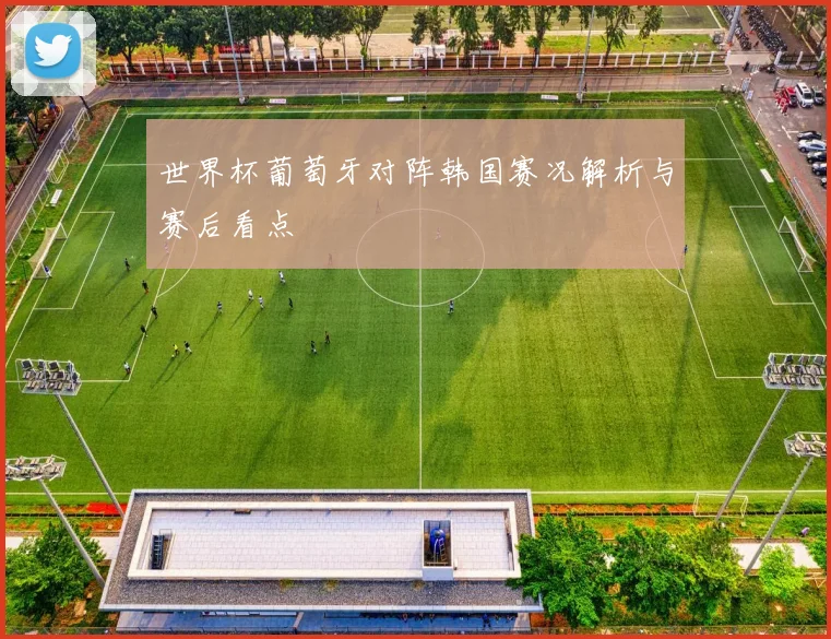 世界杯葡萄牙对阵韩国赛况解析与赛后看点