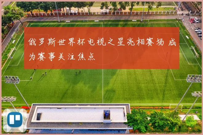 俄罗斯世界杯电视之星亮相赛场 成为赛事关注焦点