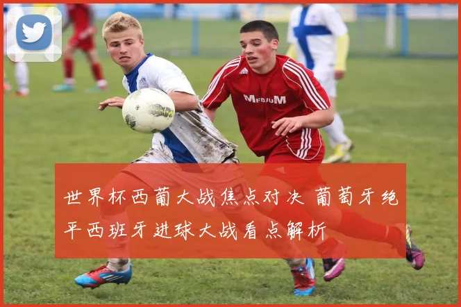 世界杯西葡大战焦点对决 葡萄牙绝平西班牙进球大战看点解析