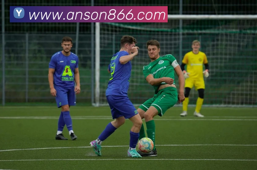 开云app官方下载苹果版APP 高清赛事图